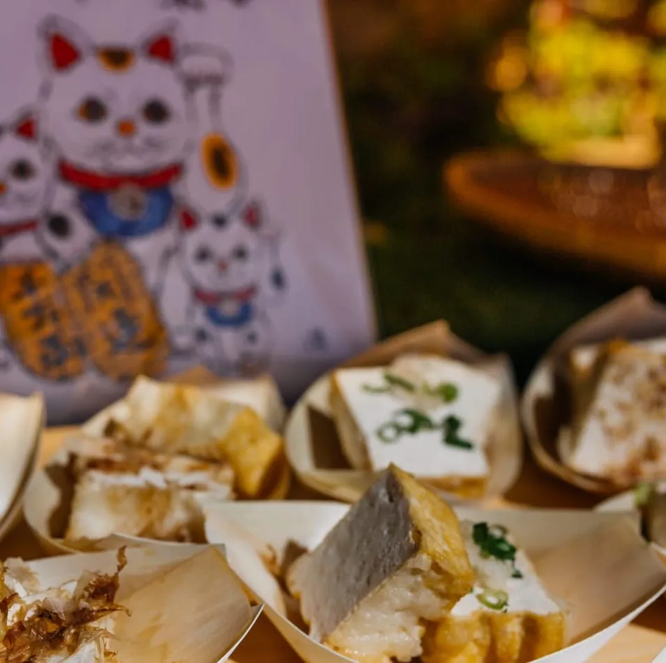catering tofu japones